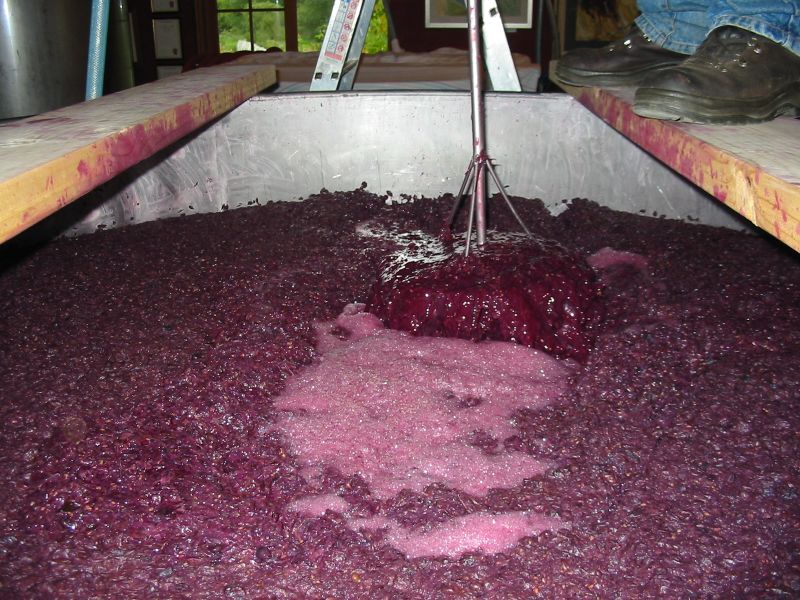 Their reserve Cabernet was absolutely stunning