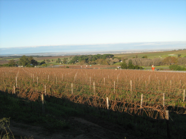 The tasting room has such a warm, inviting atmosphere